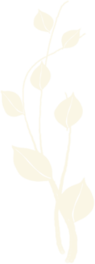Plant Image